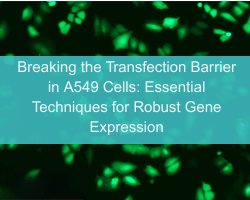 Breaking the Transfection Barrier in A549 Cells: Essential Techniques for Robust Gene Expression - cover
